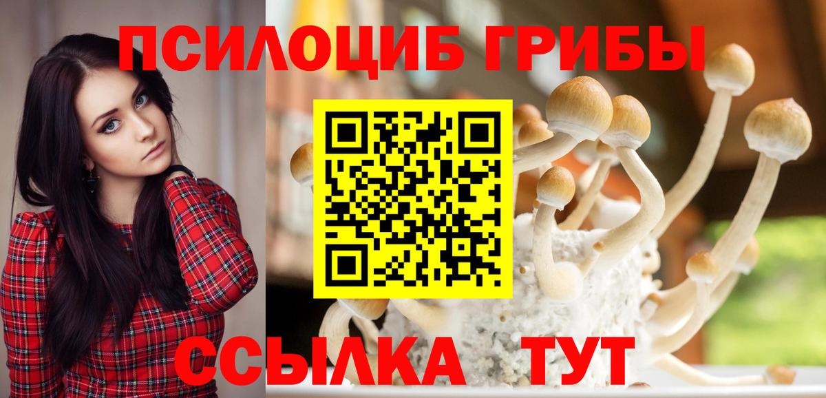 Псилоцибиновые грибы мицелий Елабуга