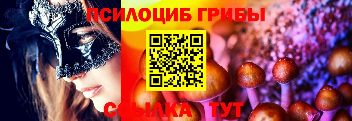 Псилоцибиновые грибы Psilocybine cubensis  Галлюциногенные грибы Magic Shrooms  Елабуга  Вход с VPN 